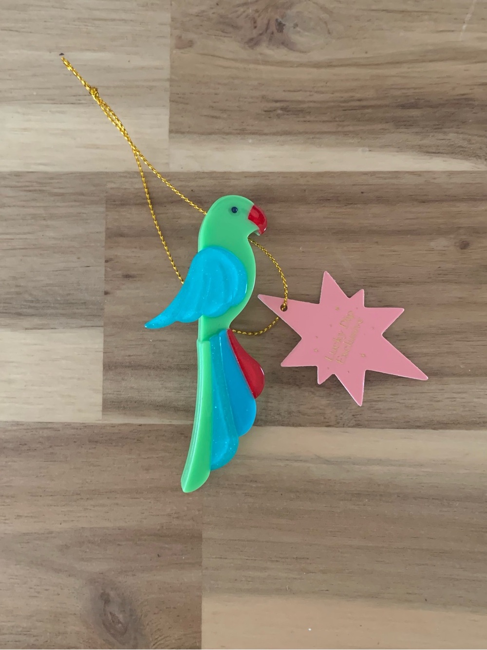 Erstwilder Chiquita parrot Brooch bird Pin NWOT